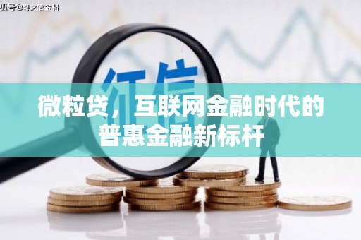 汕尾微粒贷，互联网金融时代的普惠金融新标杆