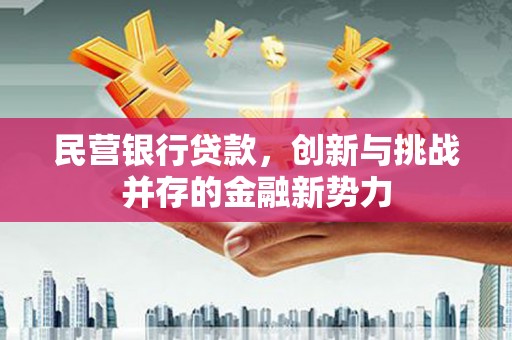 汕尾民营银行贷款，创新与挑战并存的金融新势力