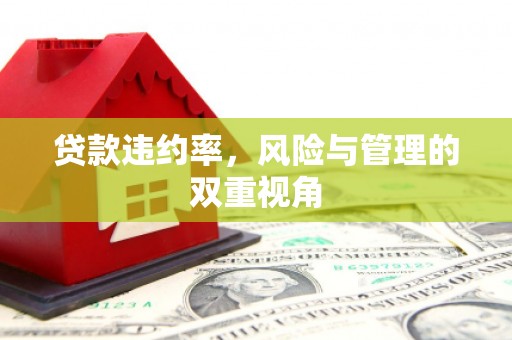 汕尾贷款违约率，风险与管理的双重视角