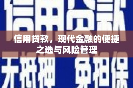 汕尾信用贷款，现代金融的便捷之选与风险管理