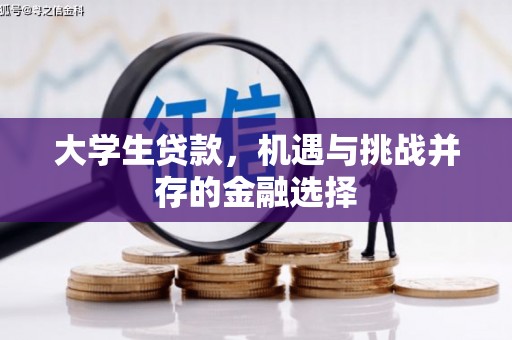 汕尾大学生贷款，机遇与挑战并存的金融选择