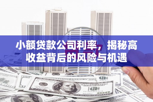 汕尾小额贷款公司利率，揭秘高收益背后的风险与机遇