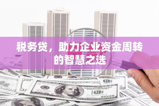 汕尾税务贷，助力企业资金周转的智慧之选