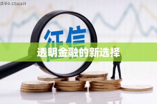 汕尾透明金融的新选择