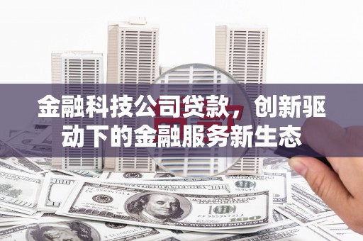 汕尾金融科技公司贷款，创新驱动下的金融服务新生态