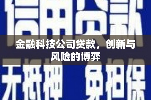 汕尾金融科技公司贷款，创新与风险的博弈