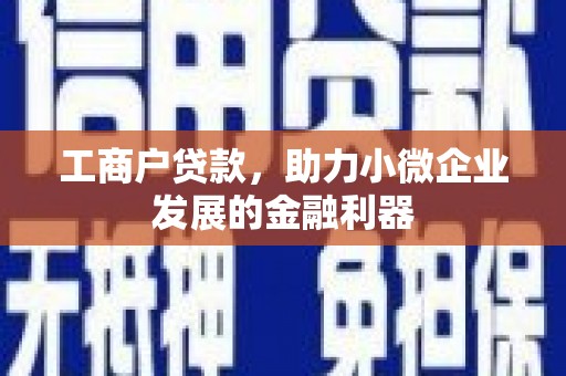 汕尾工商户贷款，助力小微企业发展的金融利器