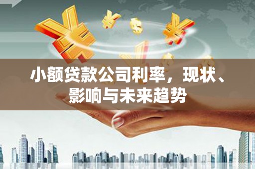 汕尾小额贷款公司利率，现状、影响与未来趋势