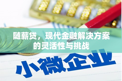 汕尾随薪贷，现代金融解决方案的灵活性与挑战