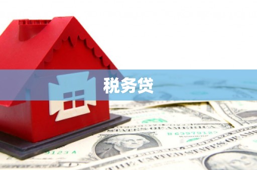 汕尾税务贷