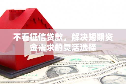 汕尾不看征信贷款，解决短期资金需求的灵活选择