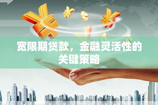 汕尾宽限期贷款，金融灵活性的关键策略