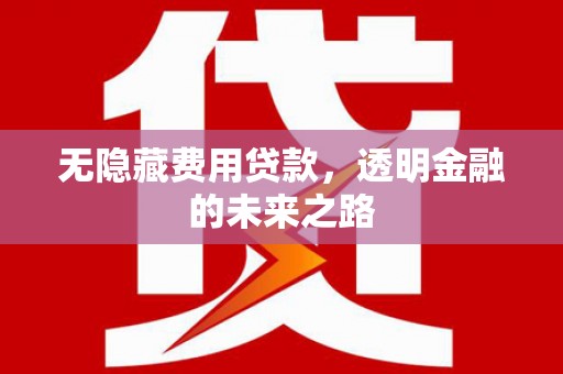 汕尾无隐藏费用贷款，透明金融的未来之路