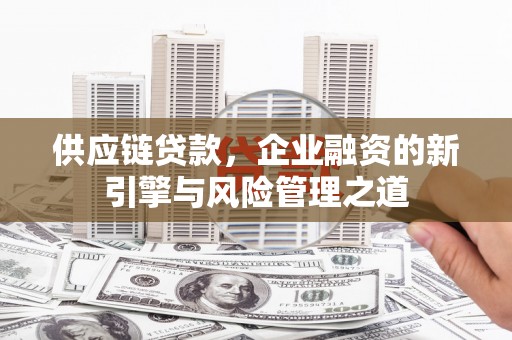 汕尾供应链贷款，企业融资的新引擎与风险管理之道