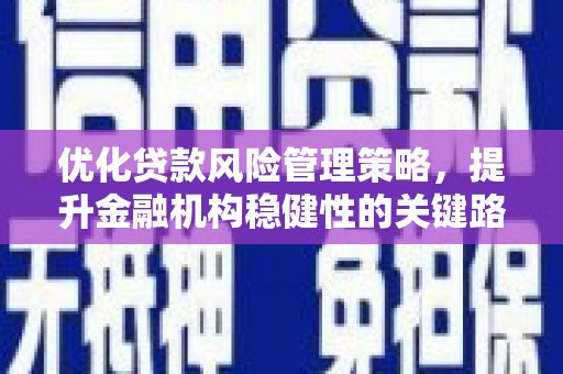 汕尾优化贷款风险管理策略，提升金融机构稳健性的关键路径