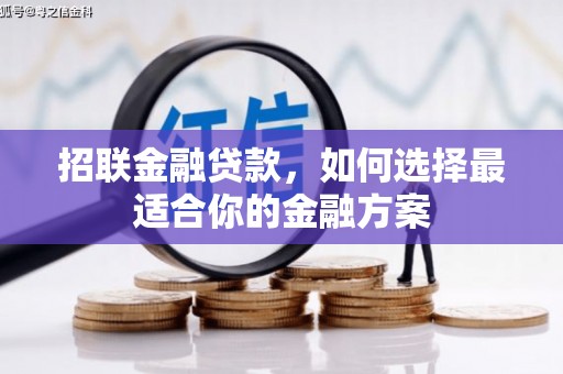 汕尾招联金融贷款，如何选择最适合你的金融方案