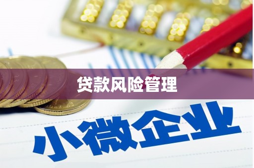 汕尾贷款风险管理