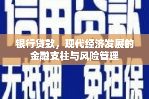 汕尾银行贷款，现代经济发展的金融支柱与风险管理