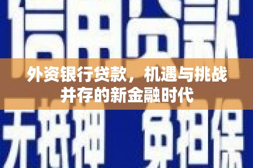 汕尾外资银行贷款，机遇与挑战并存的新金融时代