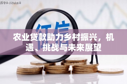 汕尾农业贷款助力乡村振兴，机遇、挑战与未来展望