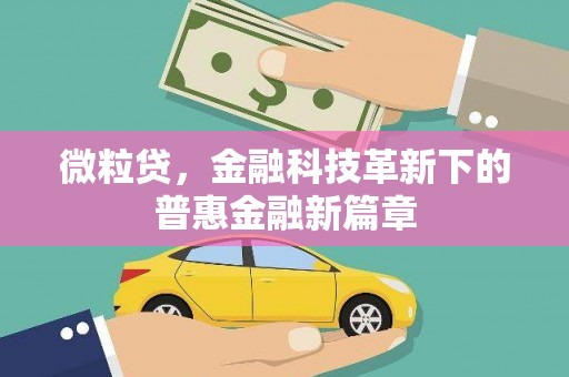 汕尾微粒贷，金融科技革新下的普惠金融新篇章