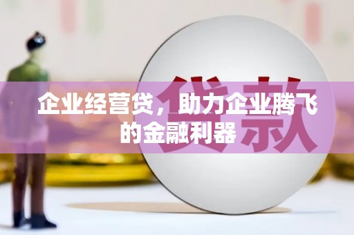 汕尾企业经营贷，助力企业腾飞的金融利器