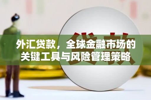 汕尾外汇贷款，全球金融市场的关键工具与风险管理策略