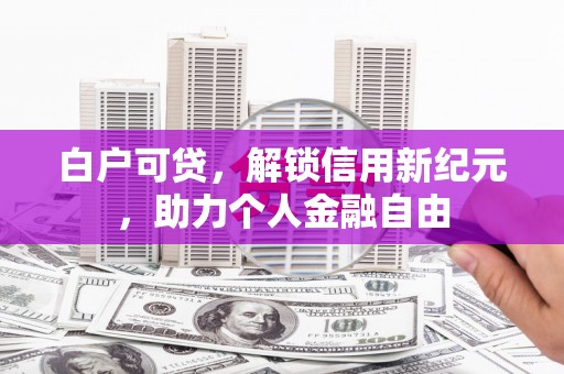 汕尾白户可贷，解锁信用新纪元，助力个人金融自由