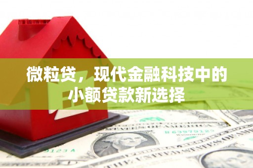 汕尾微粒贷，现代金融科技中的小额贷款新选择