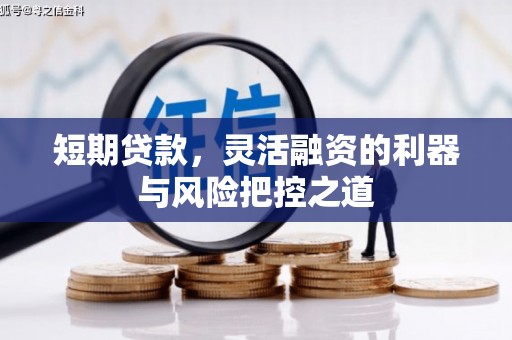 汕尾短期贷款，灵活融资的利器与风险把控之道