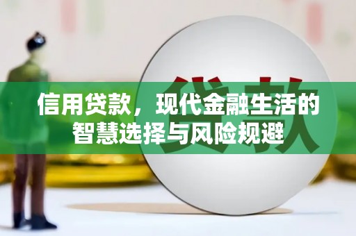 汕尾信用贷款，现代金融生活的智慧选择与风险规避