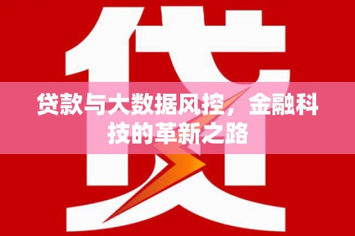 汕尾贷款与大数据风控，金融科技的革新之路