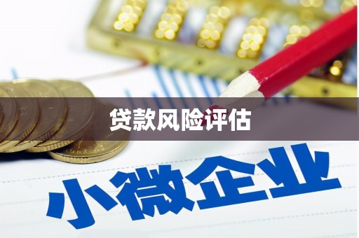 汕尾贷款风险评估