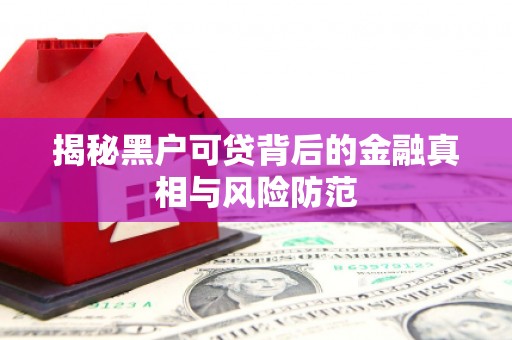 汕尾揭秘黑户可贷背后的金融真相与风险防范