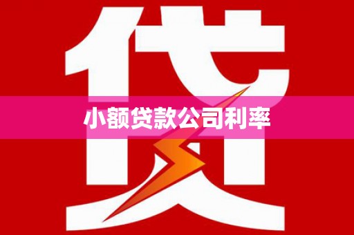 汕尾小额贷款公司利率