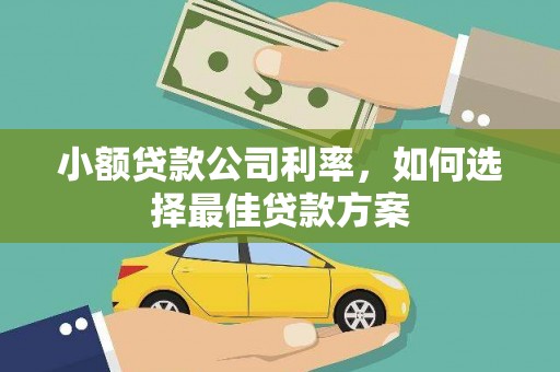 汕尾小额贷款公司利率，如何选择最佳贷款方案