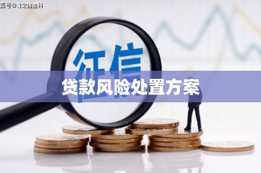 汕尾贷款风险处置方案