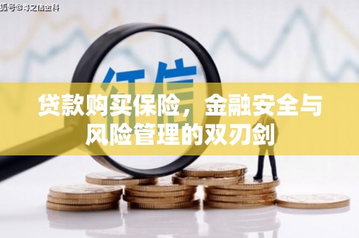 汕尾贷款购买保险，金融安全与风险管理的双刃剑