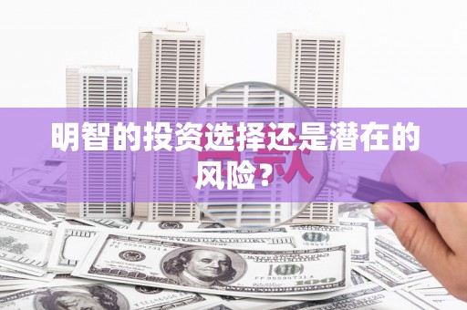 汕尾明智的投资选择还是潜在的风险？