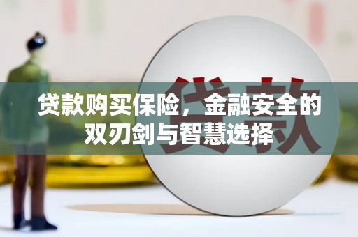 汕尾贷款购买保险，金融安全的双刃剑与智慧选择