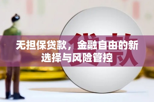汕尾无担保贷款，金融自由的新选择与风险管控