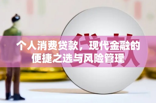 汕尾个人消费贷款，现代金融的便捷之选与风险管理
