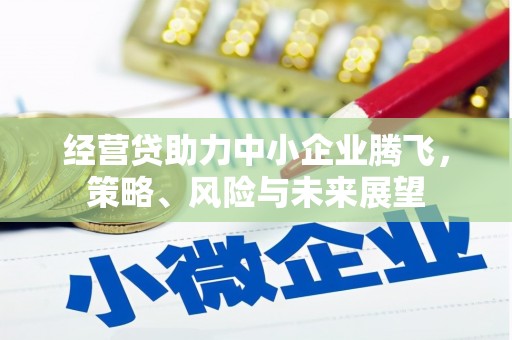 汕尾经营贷助力中小企业腾飞，策略、风险与未来展望