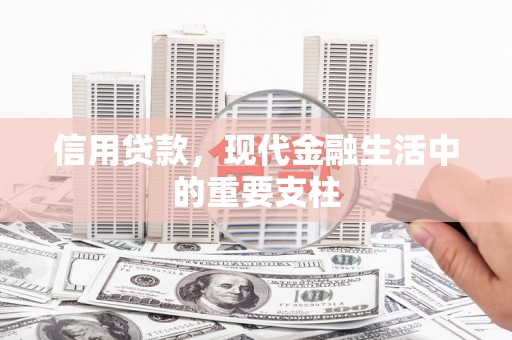 汕尾信用贷款，现代金融生活中的重要支柱