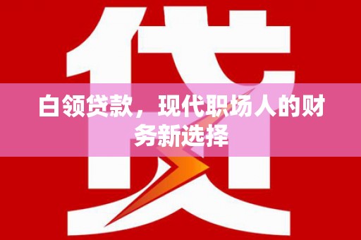 汕尾白领贷款，现代职场人的财务新选择
