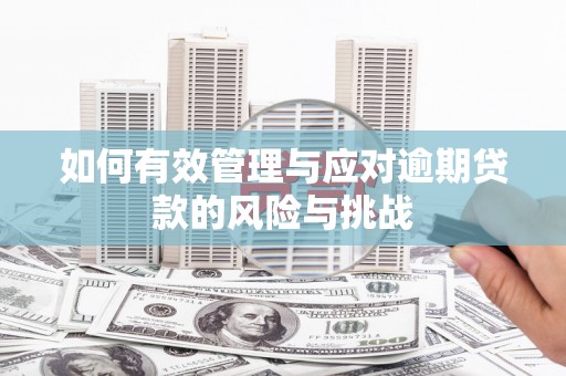 汕尾如何有效管理与应对逾期贷款的风险与挑战