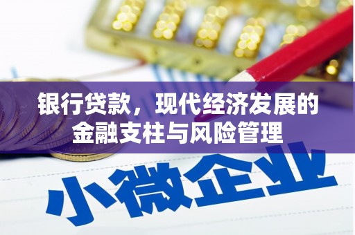 汕尾银行贷款，现代经济发展的金融支柱与风险管理