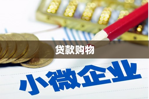 汕尾贷款购物
