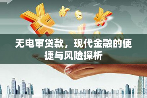 汕尾无电审贷款，现代金融的便捷与风险探析