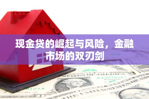 汕尾现金贷的崛起与风险，金融市场的双刃剑